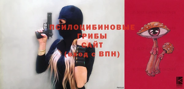 бошки Алексин