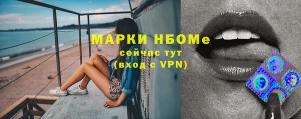 соль ск Новодвинск