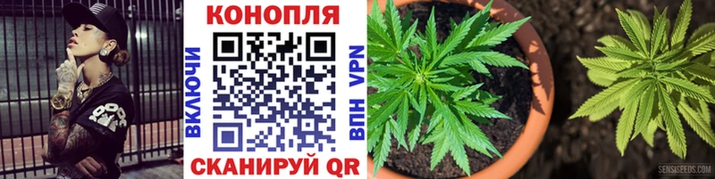МАРИХУАНА планчик  Тотьма 
